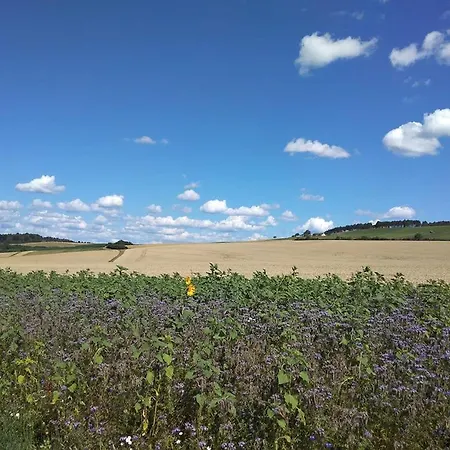 Mit Eigener Terrasse Zwischen Taubertal, Odenwald Und Bauland *