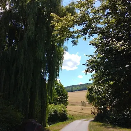 Daire Untere Asshoff In Ahorn Berolzheim